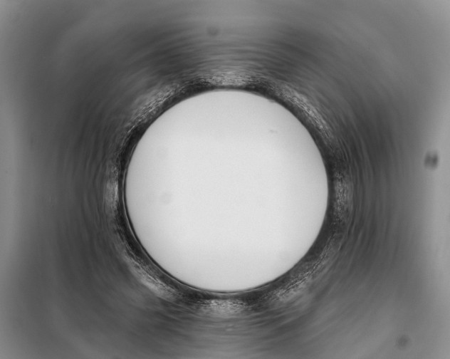 X0000098030541200804181231