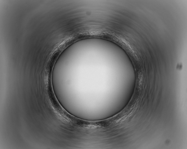 X0000098030542200804181231