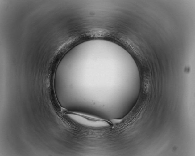 X0000098030543200804181231