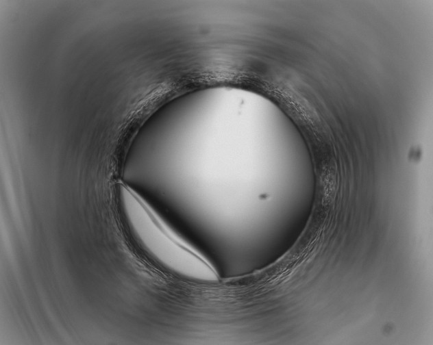 X0000098030546200804181232