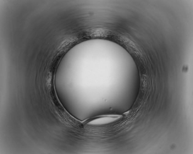 X0000098030550200804181232