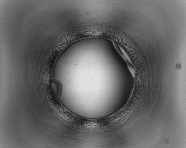 X0000098030551200804181232