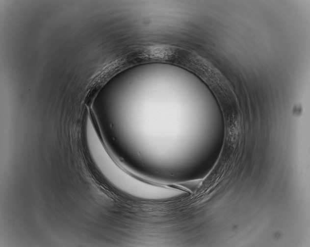 X0000098030552200804181232