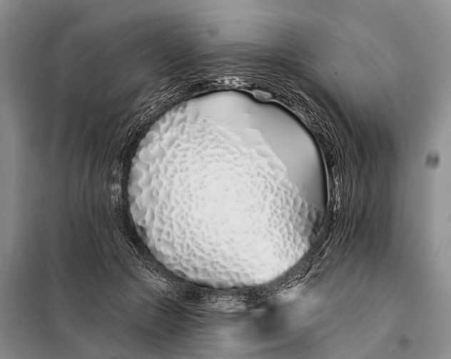 X0000098030553200804181232