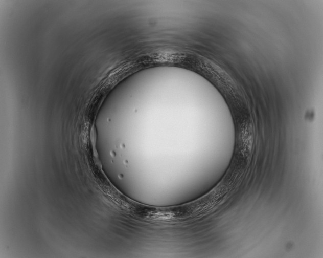 X0000098030554200804181232