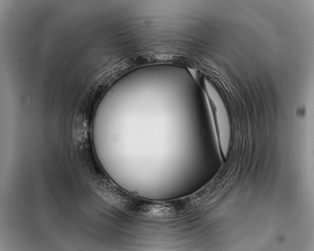 X0000098030555200804181232