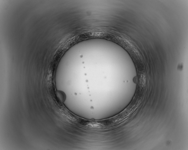 X0000098030557200804181232