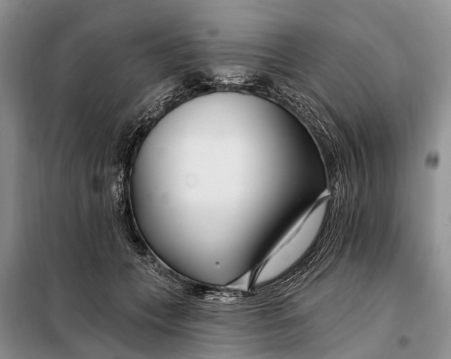 X0000098030559200804181232