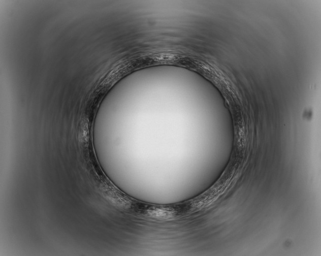 X0000098030561200804181232