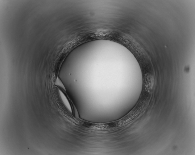 X0000098030563200804181232