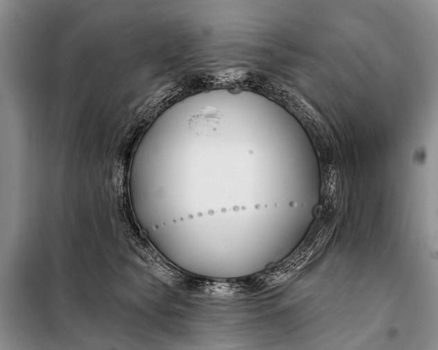 X0000098030565200804181232