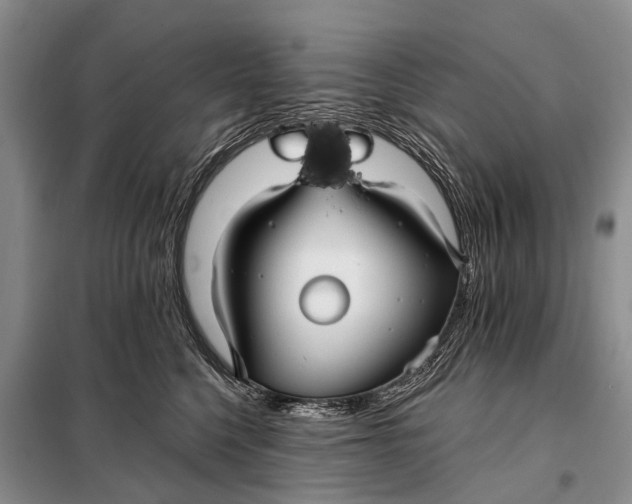 X0000098030568200804181232