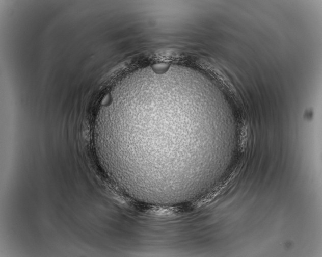 X0000098030569200804181232