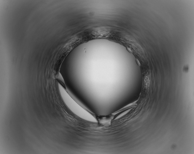 X0000098030570200804181232