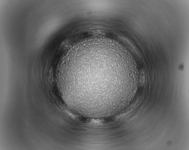 X0000098030573200804181232