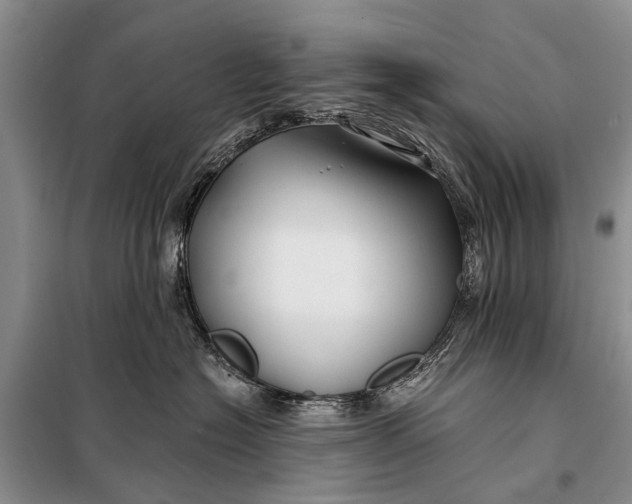 X0000098030574200804181232