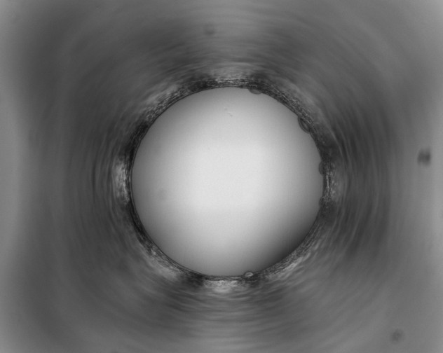 X0000098030575200804181232