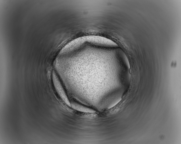 X0000098030576200804181232