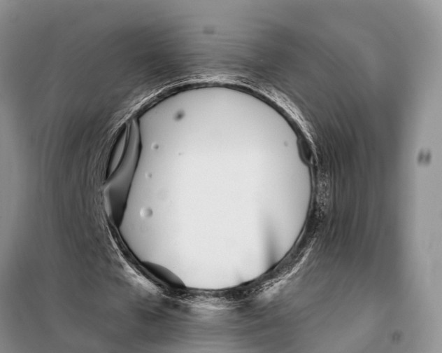 X0000098030577200804181231