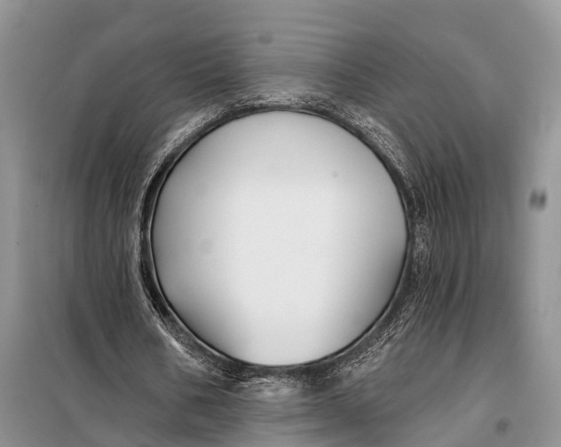 X0000098030578200804181231