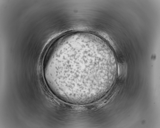 X0000098030579200804181231