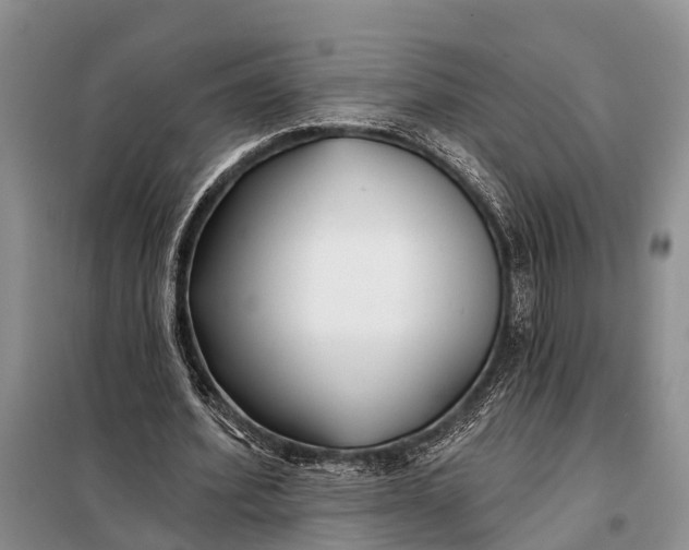 X0000098030580200804181231