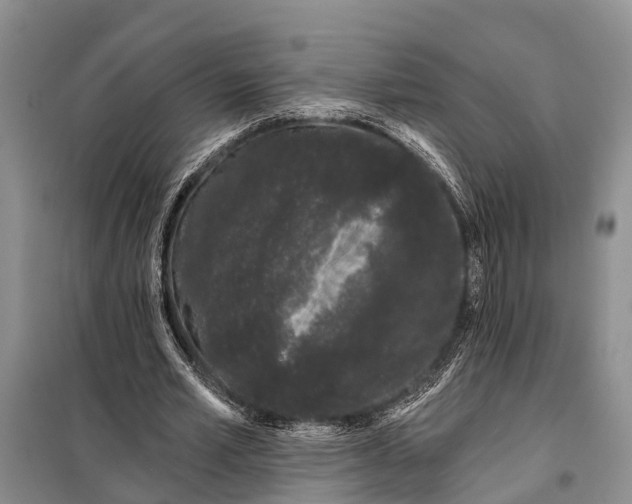 X0000098030581200804181231