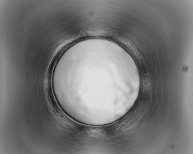 X0000098030583200804181231