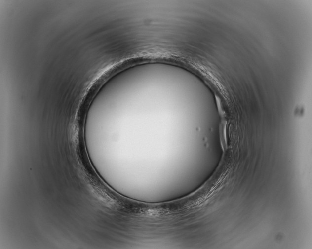 X0000098030584200804181231