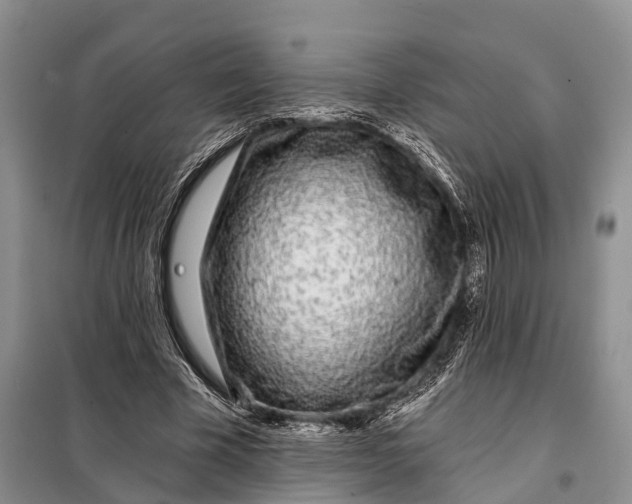 X0000098030585200804181231