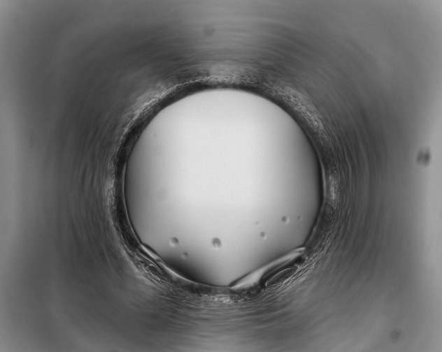 X0000098030588200804181231