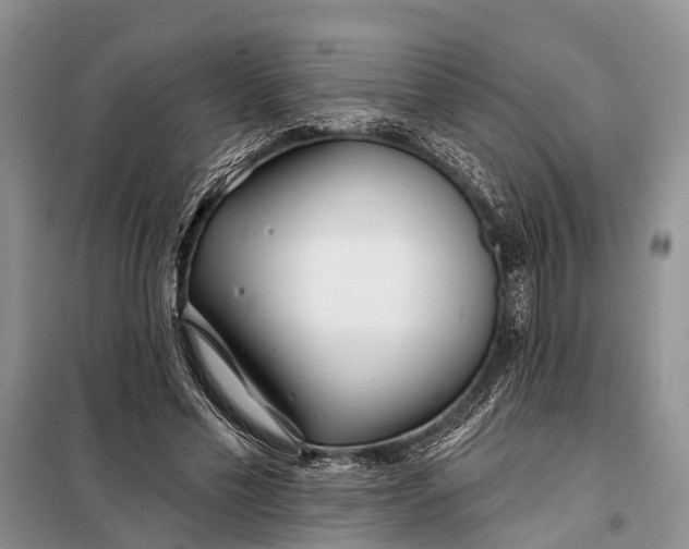 X0000098030589200804181231