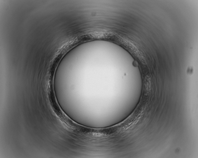 X0000098030590200804181231