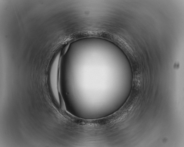 X0000098030593200804181231