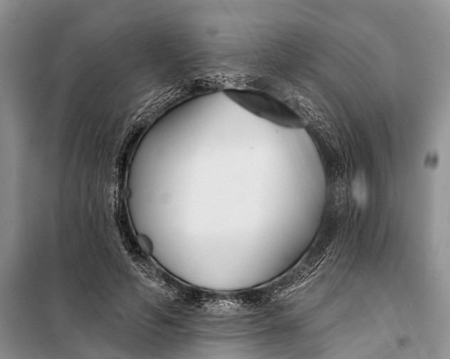 X0000098030594200804181231