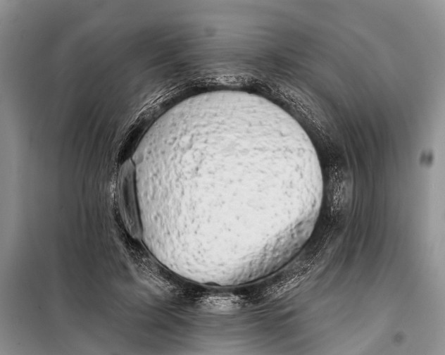 X0000098030595200804181231