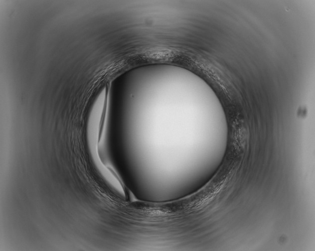 X0000098030597200804181231