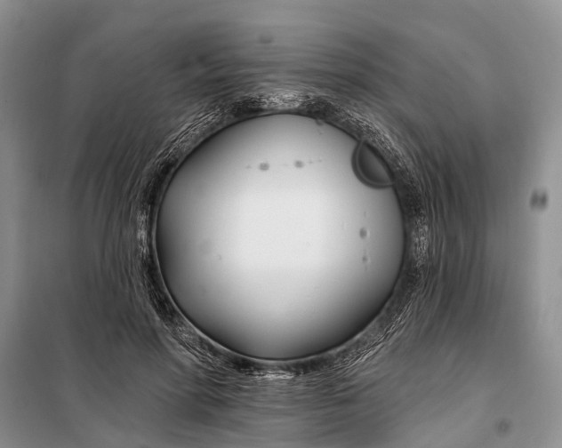 X0000098030598200804181231