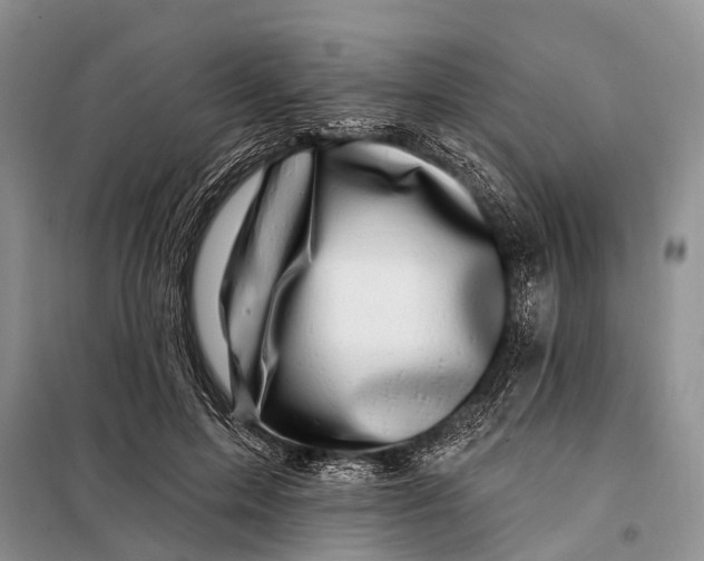 X0000098030599200804181231