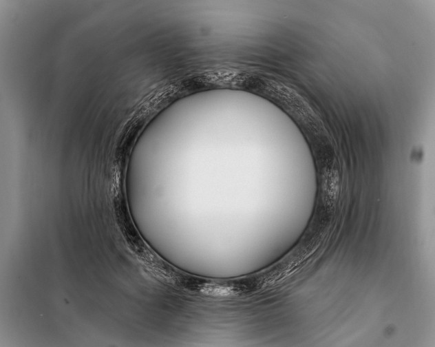 X0000098030602200804181231