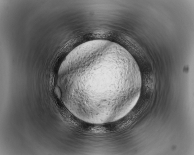 X0000098030603200804181231