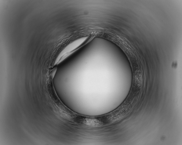 X0000098030605200804181231