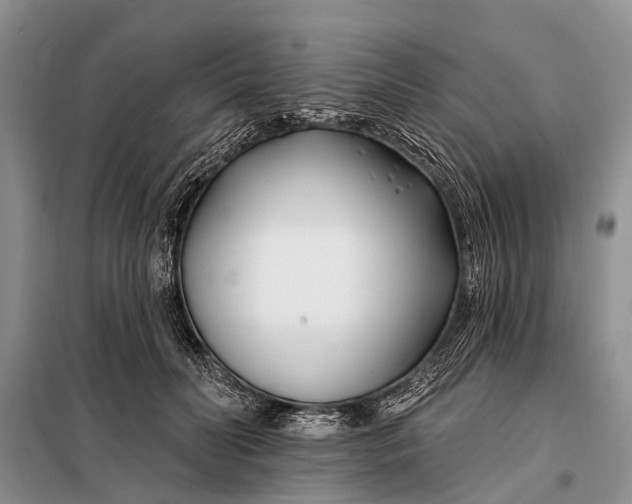 X0000098030606200804181231