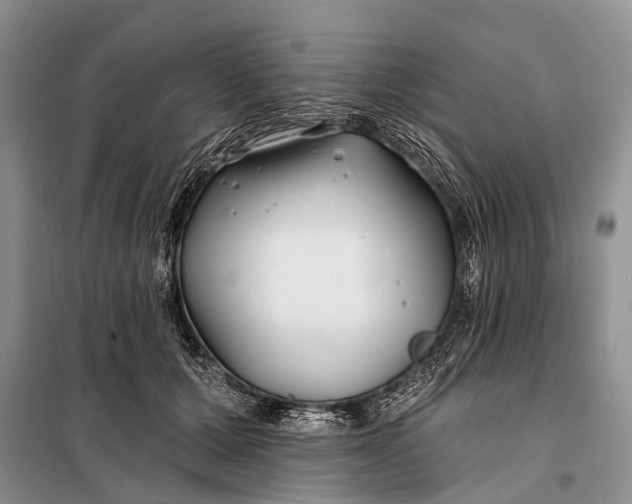 X0000098030607200804181231