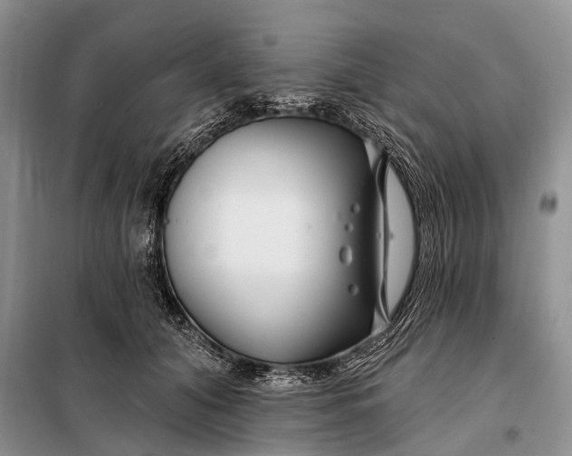 X0000098030608200804181231