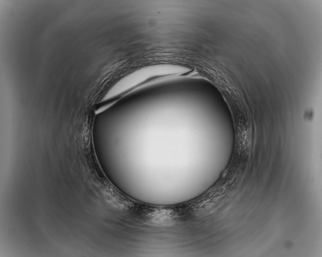 X0000098030609200804181231