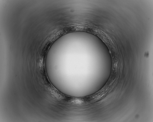 X0000098030610200804181231