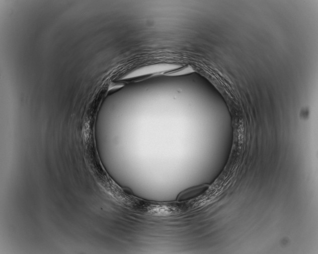 X0000098030611200804181231