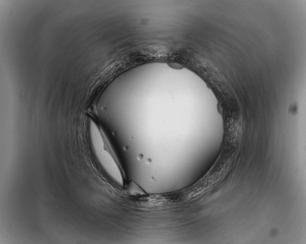 X0000098030612200804181231