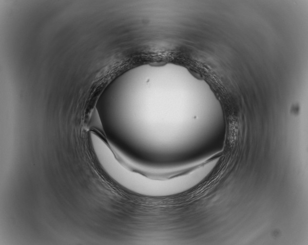 X0000098030613200804181231